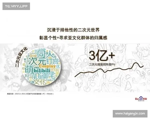 巴舒亚伊语言背景与文化探析：多元文化交融中的语言特征与社会影响
